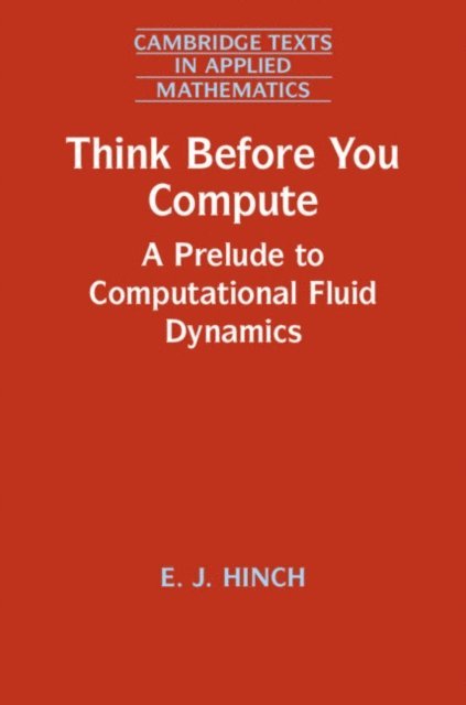 E. J. Hinch - Think Before You Compute, E-bok