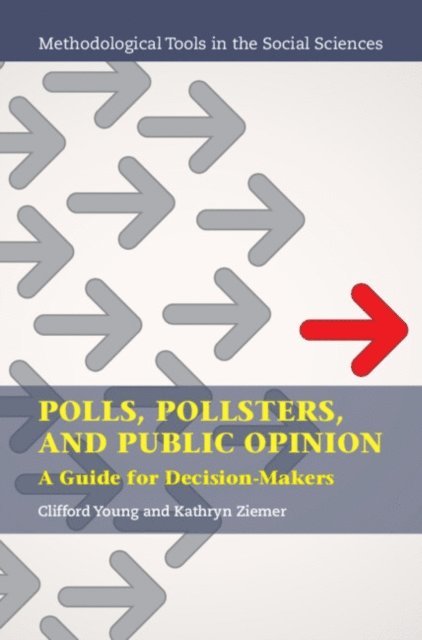Kathryn Ziemer, Clifford Young - Polls, Pollsters, and Public Opinion, E-bok