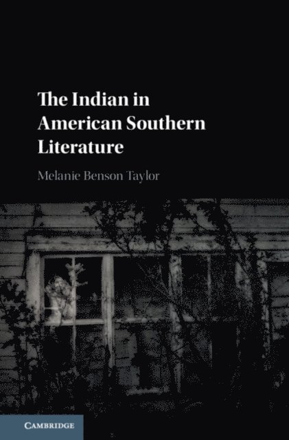 Melanie Benson Taylor - Indian in American Southern Literature, E-bok