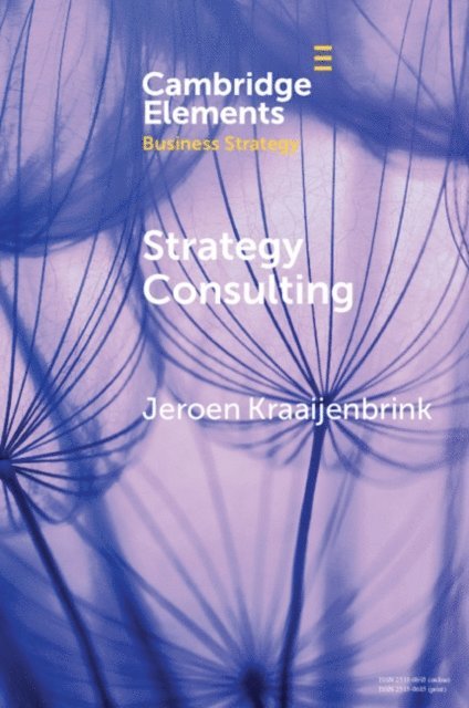 Jeroen Kraaijenbrink - Strategy Consulting, E-bok