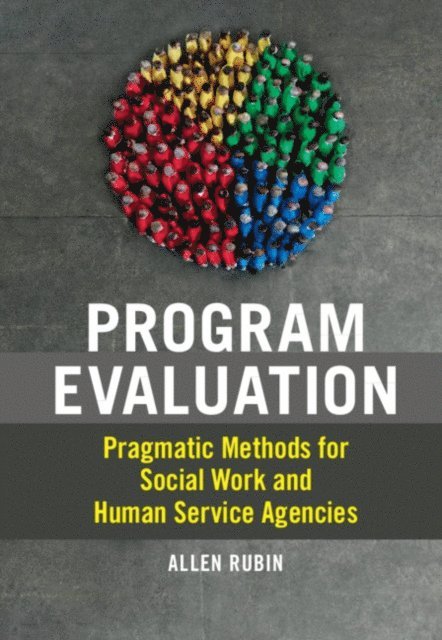 Allen Rubin - Program Evaluation, E-bok