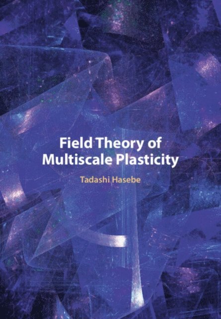 Tadashi Hasebe - Field Theory of Multiscale Plasticity, E-bok