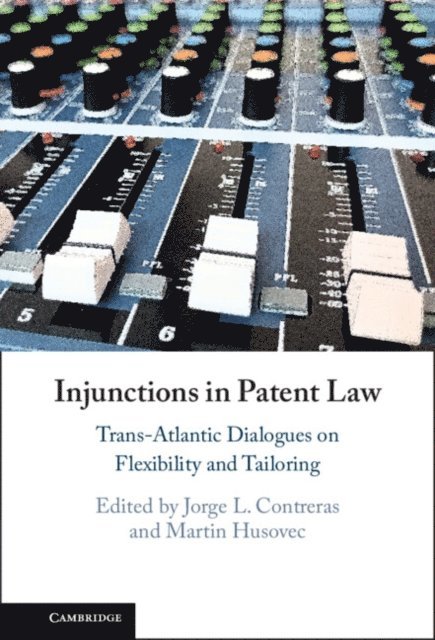 Martin Husovec, Jorge L. Contreras - Injunctions in Patent Law, E-bok