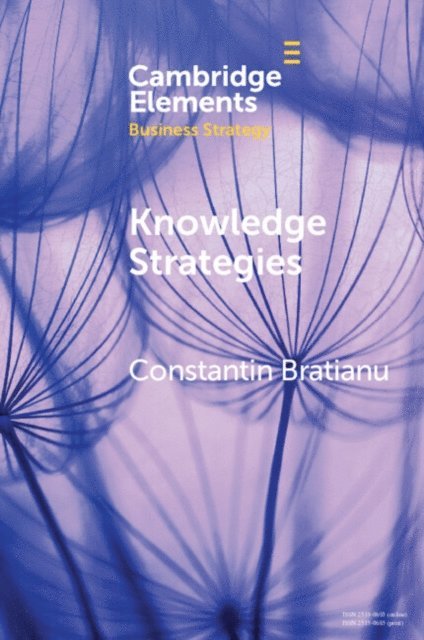 Constantin Bratianu - Knowledge Strategies, E-bok