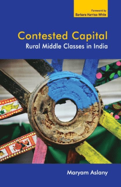 Maryam Aslany - Contested Capital, E-bok