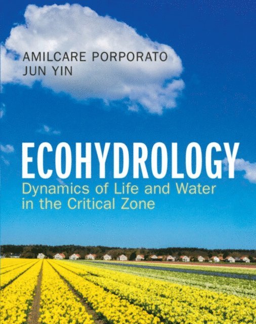 Jun Yin, Amilcare Porporato - Ecohydrology, E-bok
