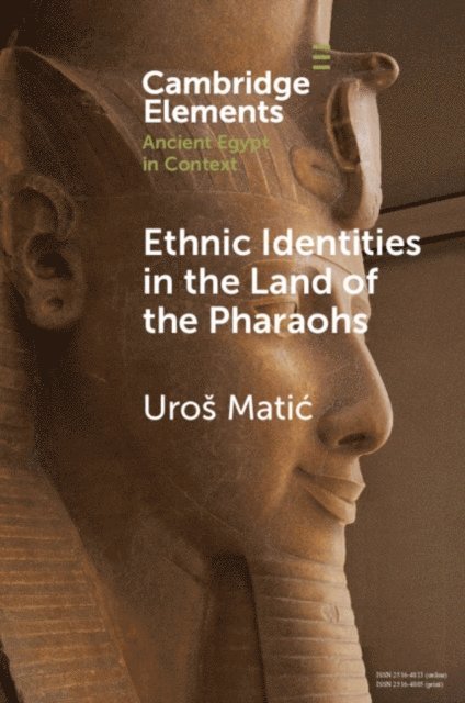 Uros Matic - Ethnic Identities in the Land of the Pharaohs, E-bok