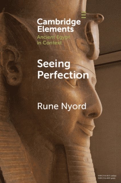 Rune Nyord - Seeing Perfection, E-bok