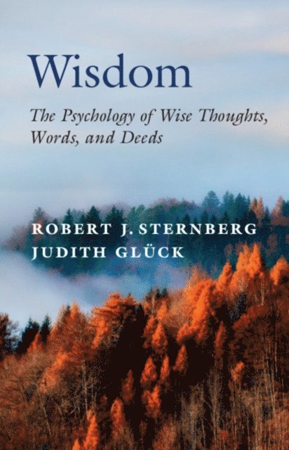 Judith Gluck, Robert J. Sternberg - Wisdom, E-bok