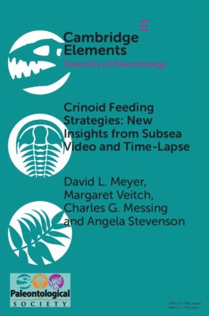 Angela Stevenson, Charles G. Messing, Margaret Veitch, David Meyer - Crinoid Feeding Strategies: New Insights From Subsea Video And Time-Lapse, E-bok
