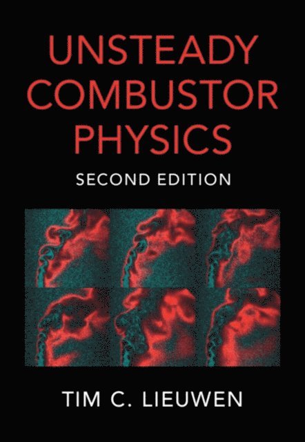 Tim C. Lieuwen - Unsteady Combustor Physics, E-bok