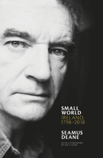 Seamus Deane - Small World, E-bok