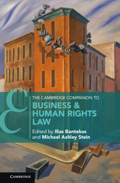 Michael Ashley Stein, Ilias Bantekas - Cambridge Companion to Business and Human Rights Law, E-bok