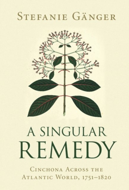 Stefanie Ganger - Singular Remedy, E-bok