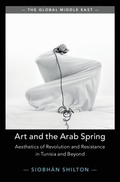 Siobhan Shilton - Art and the Arab Spring, E-bok