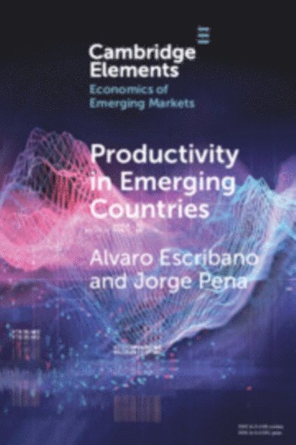 Jorge Pena, Alvaro Escribano - Productivity in Emerging Countries, E-bok