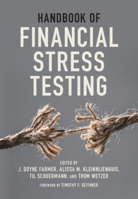 Thom Wetzer, Til Schuermann, Alissa M. Kleinnijenhuis, J. Doyne Farmer - Handbook of Financial Stress Testing, E-bok