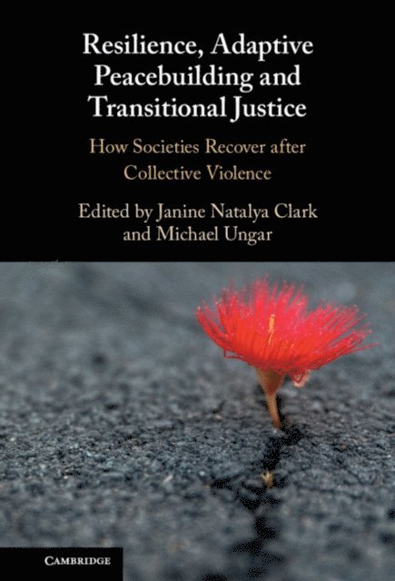 Michael Ungar, Janine Natalya Clark - Resilience, Adaptive Peacebuilding and Transitional Justice, E-bok