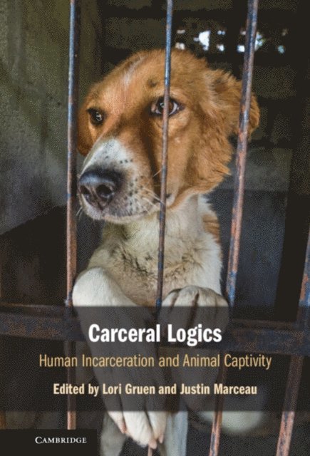 Justin Marceau, Lori Gruen - Carceral Logics, E-bok