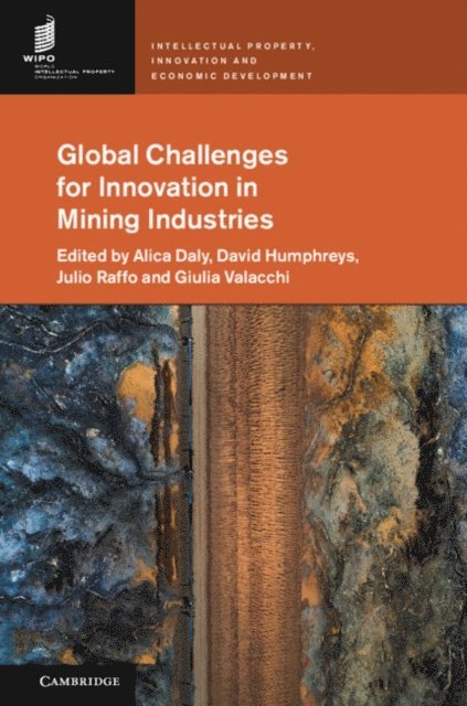 Giulia Valacchi, Julio Raffo, David Humphreys, Alica Daly - Global Challenges for Innovation in Mining Industries, E-bok