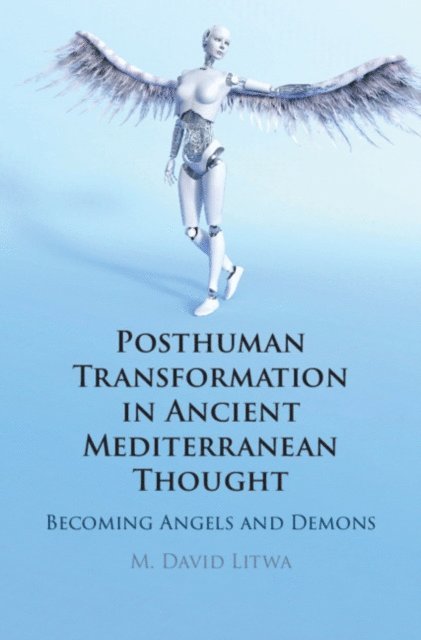 M. David Litwa - Posthuman Transformation in Ancient Mediterranean Thought, E-bok