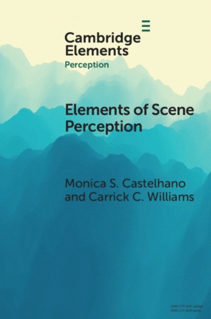 Carrick C. Williams, Monica S. Castelhano - Elements of Scene Perception, E-bok