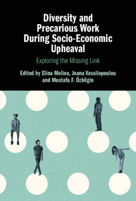 Mustafa F. Ozbilgin, Joana Vassilopoulou, Elina Meliou - Diversity and Precarious Work During Socio-Economic Upheaval, E-bok