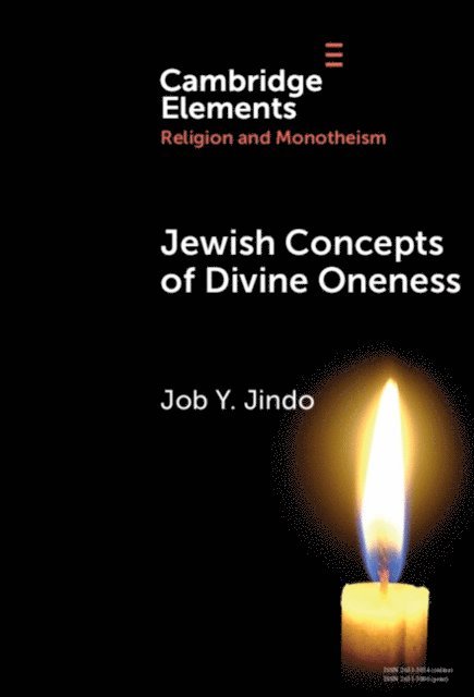 Job Y. Jindo - Jewish Concepts of Divine Oneness, E-bok