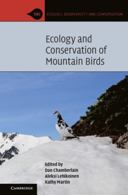 Kathy Martin, Aleksi Lehikoinen, Dan Chamberlain - Ecology and Conservation of Mountain Birds, E-bok