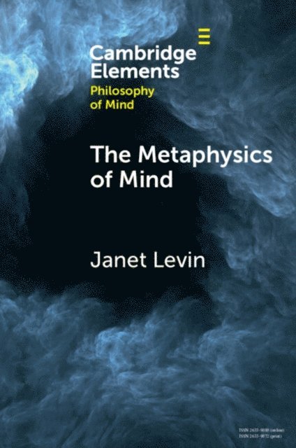 Janet Levin - Metaphysics of Mind, E-bok