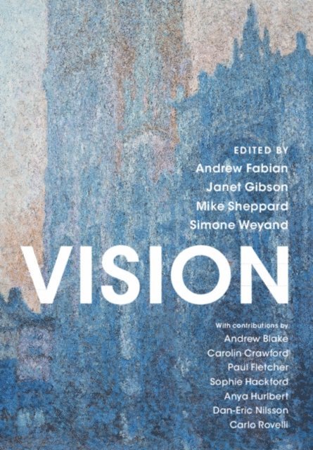 Simone Weyand, Mike Sheppard, Janet Gibson, Andrew Fabian - Vision, E-bok