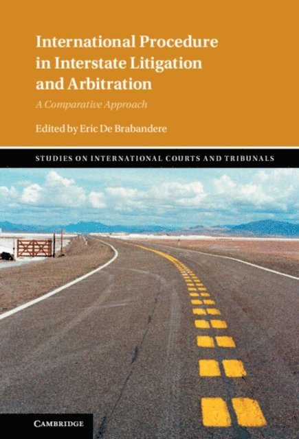 Eric De Brabandere - International Procedure in Interstate Litigation and Arbitration, E-bok