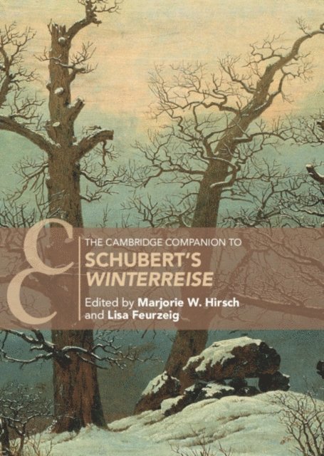 Lisa Feurzeig, Marjorie W. Hirsch - Cambridge Companion to Schubert's 'Winterreise', E-bok