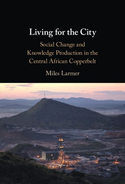 Miles Larmer - Living for the City, E-bok