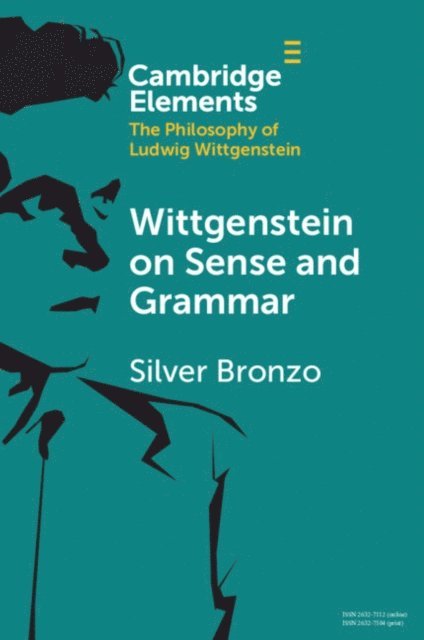 Silver Bronzo - Wittgenstein on Sense and Grammar, E-bok