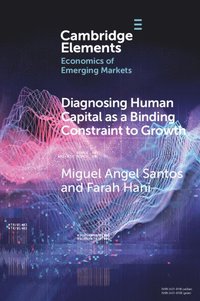 Diagnosing Human Capital as a Binding Constraint to Growth