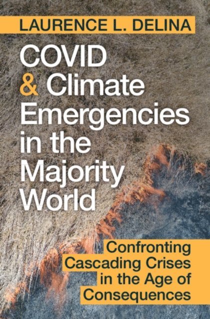 Laurence L. Delina - COVID and Climate Emergencies in the Majority World, E-bok