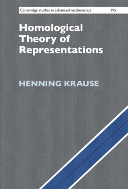 Henning Krause - Homological Theory of Representations, E-bok