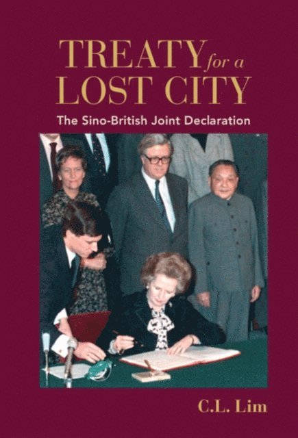 C. L. Lim - Treaty for a Lost City, E-bok
