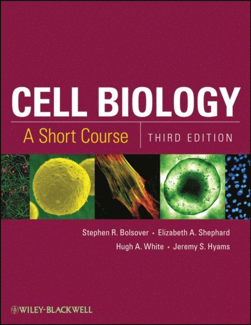Jeremy S. Hyams, Hugh A. White, Elizabeth A. Shephard, Stephen R. Bolsover - Cell Biology, E-bok