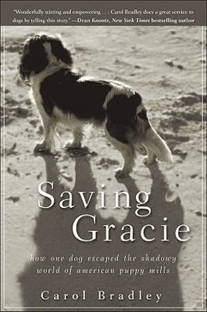 Carol Bradley - Saving Gracie, Häftad. Tillgänglighet: Lägg i varukorg