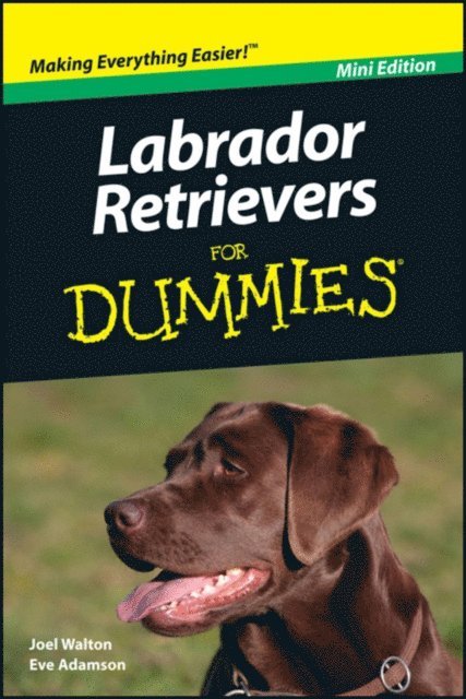 Eve Adamson, Joel Walton - Labrador Retrievers For Dummies, Mini Edition, E-bok
