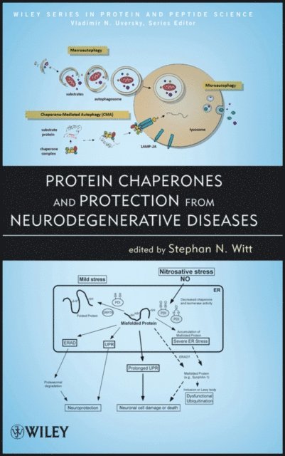 Stephan N. Witt - Protein Chaperones and Protection from Neurodegenerative Diseases, E-bok