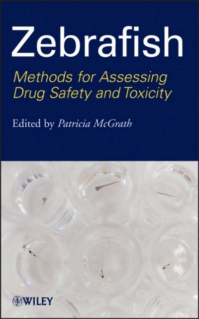 Patricia McGrath - Zebrafish, E-bok