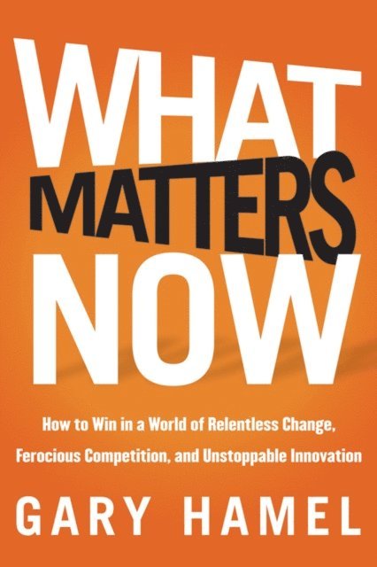 Gary Hamel - What Matters Now, E-bok