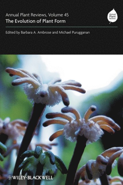 Michael D. Purugganan, Barbara A. Ambrose - Annual Plant Reviews, The Evolution of Plant Form, E-bok