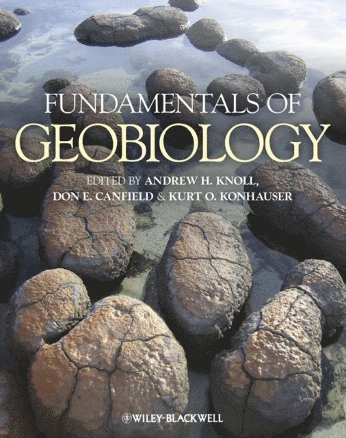 Kurt O. Konhauser, Don E. Canfield, Andrew H. Knoll - Fundamentals of Geobiology, E-bok