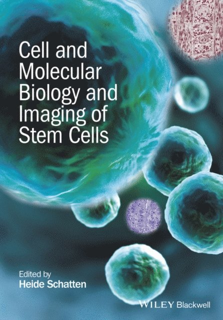 Heide Schatten - Cell and Molecular Biology and Imaging of Stem Cells, E-bok
