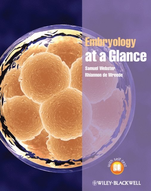 Rhiannon de Wreede, Samuel Webster - Embryology at a Glance, E-bok