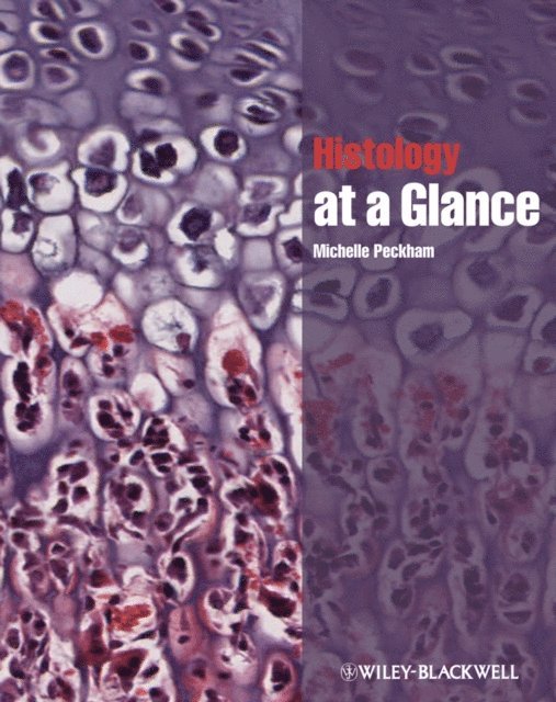 Michelle Peckham - Histology at a Glance, E-bok